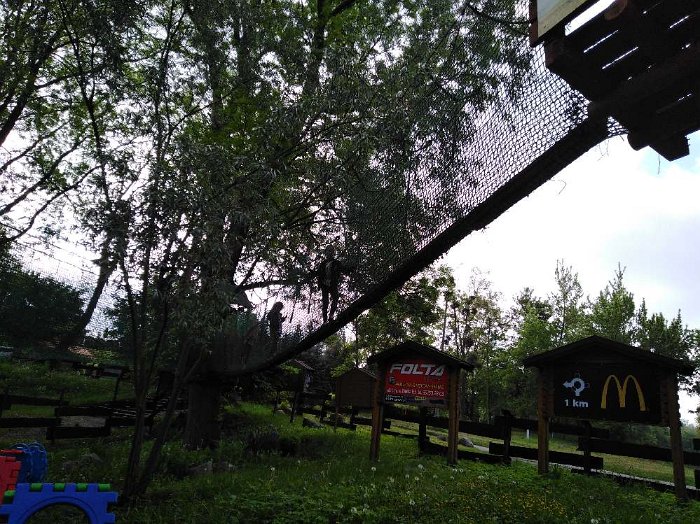 PARK LINOWY (18)